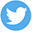 Twitter Social Icon